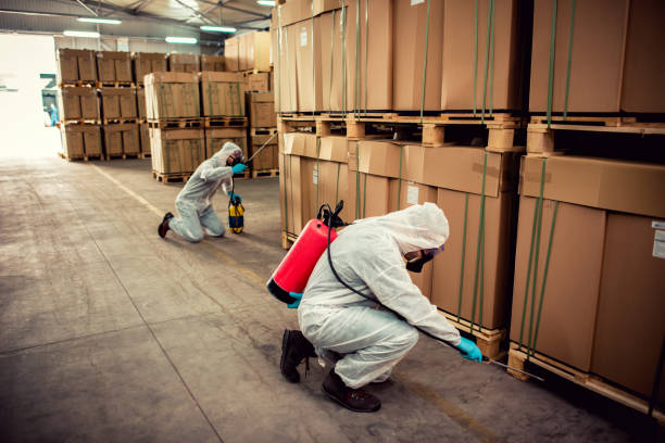 Best Bed Bug Extermination  in Frontenac, MO
