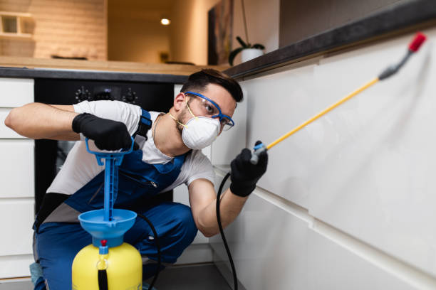 Best Affordable Pest Control Services  in Frontenac, MO