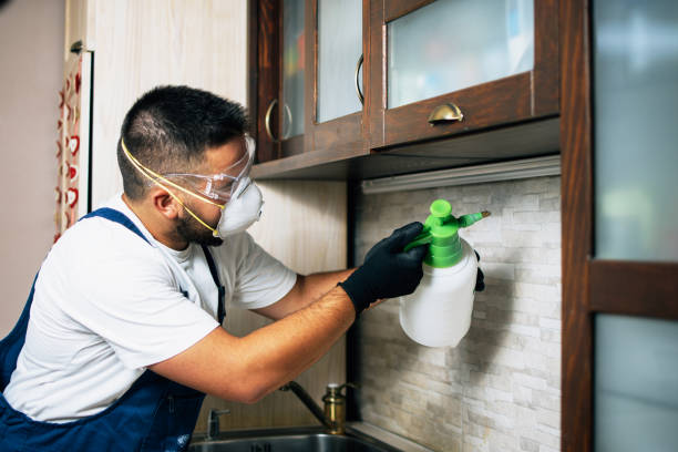Flea Control Services in Frontenac, MO