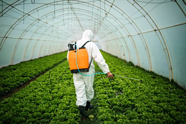 Best Affordable Pest Control Services  in Frontenac, MO