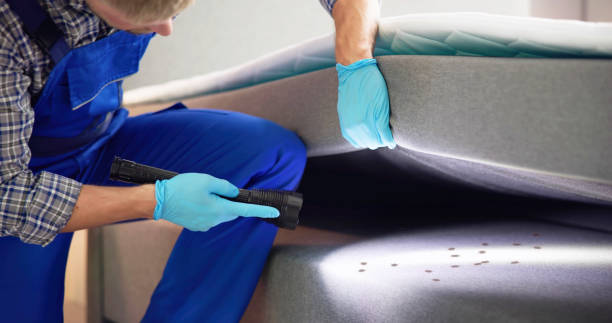 Best Best Pest Control Companies  in Frontenac, MO