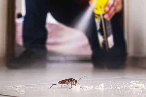 Best Pest Removal Services  in Frontenac, MO