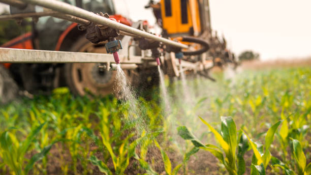 Best Ant Control Services  in Frontenac, MO